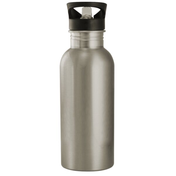 20oz Stainless Steel Water Bottle
