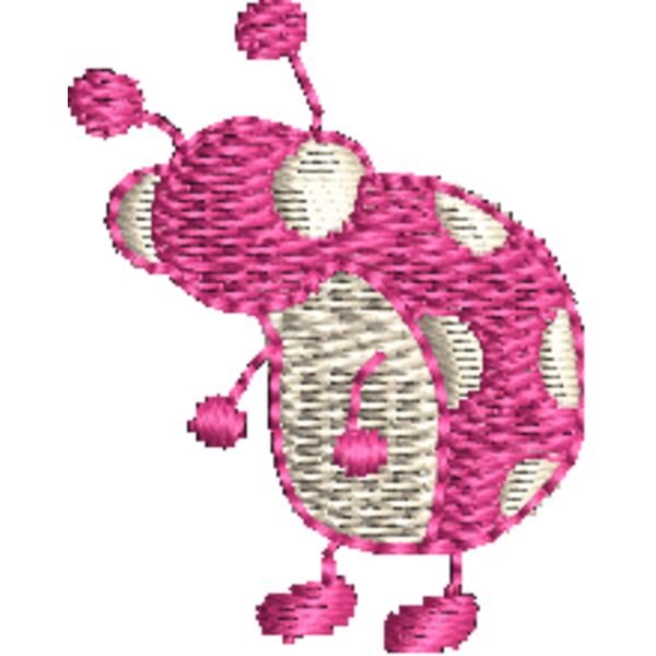 CI491 Thumbnail