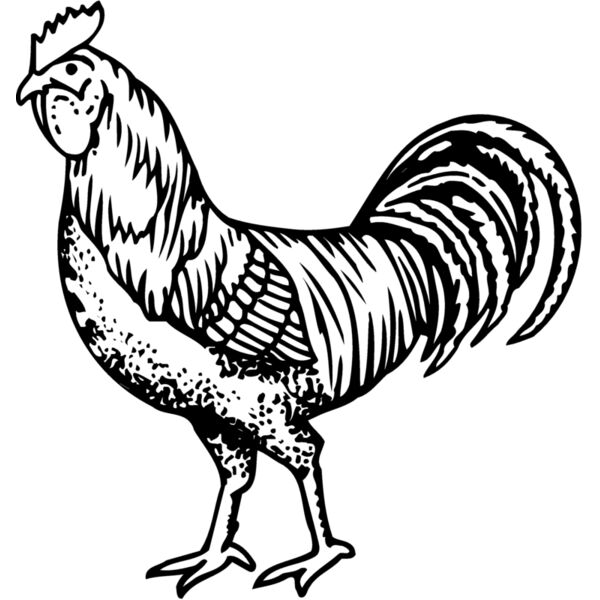 CHICK002 Thumbnail