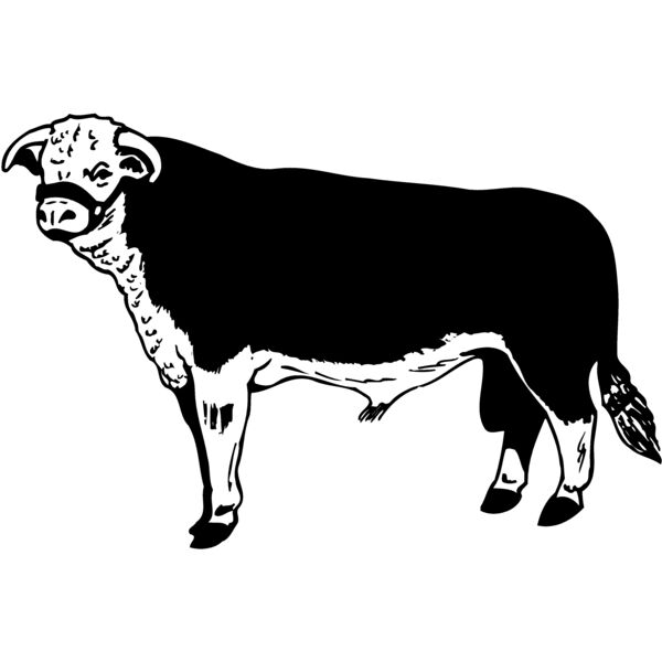 COW012 Thumbnail