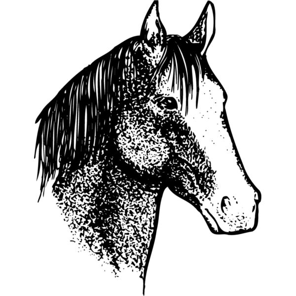 HORSE046 Thumbnail
