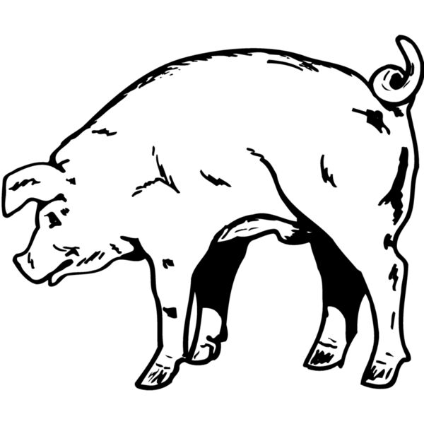PIG0002 Thumbnail