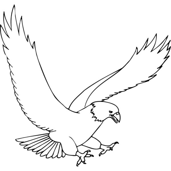EAGLE43 Thumbnail