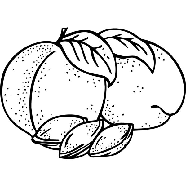 FRUIT025 Thumbnail