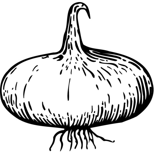 VEG004 Thumbnail