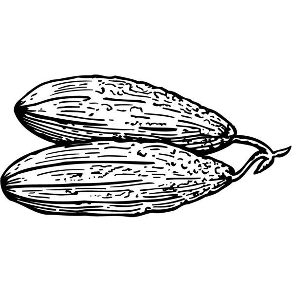 VEG005 Thumbnail