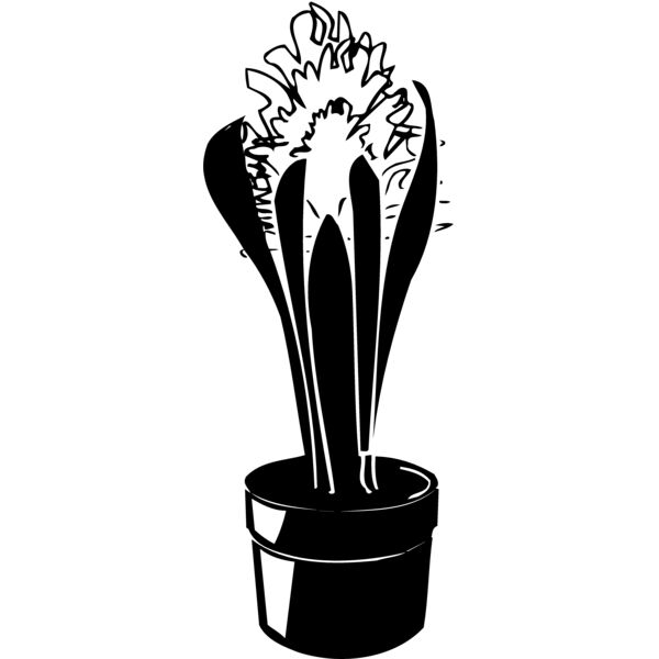 PLANT08 Thumbnail