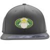 Flexfit 110F Structured Flat Bill Snapback Hat Thumbnail