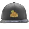 Flexfit 110F Structured Flat Bill Snapback Hat Thumbnail